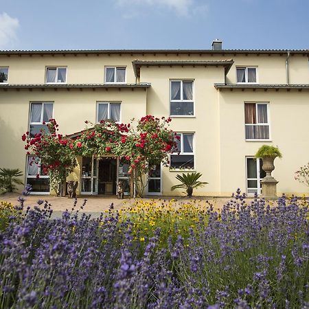 Mediterran Hotel Juwel Karlstein am Main Экстерьер фото